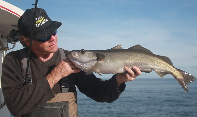 Terry and Sid's Pollock Fishing tips