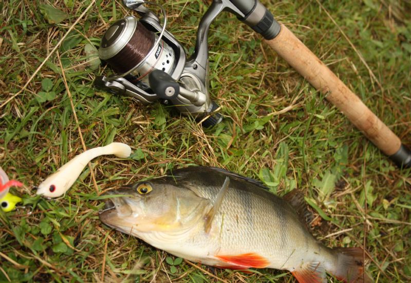 shakespeare agility spinning rod
