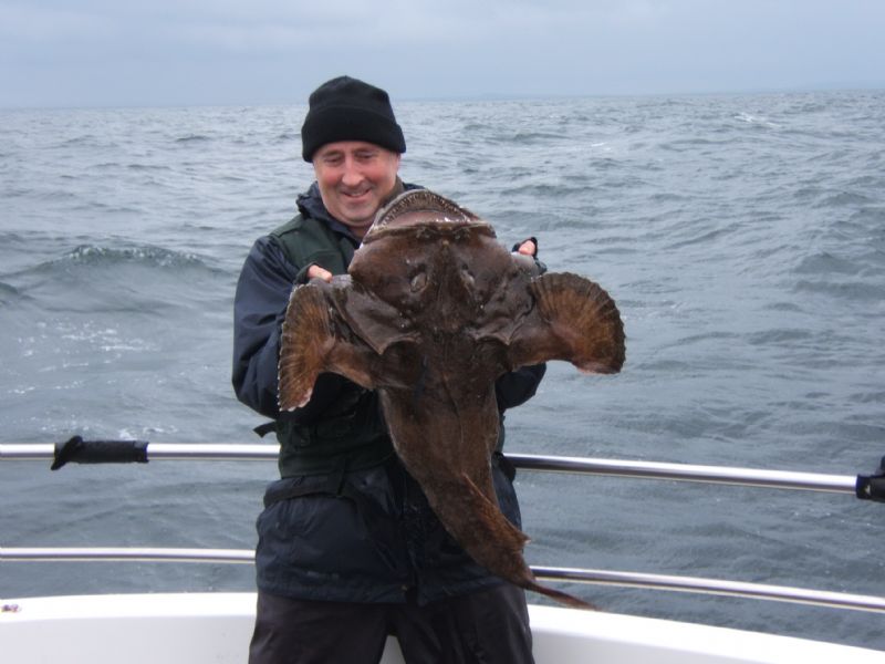 http://www.angling-ireland.com/media/uploads/anglerfish1.JPG