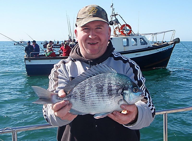 Black Bream saltwater species ID, marine species, terrys travels