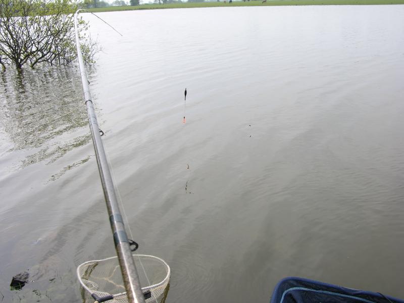 float fishing for bream, irish bream, bream on the slider, hybrids