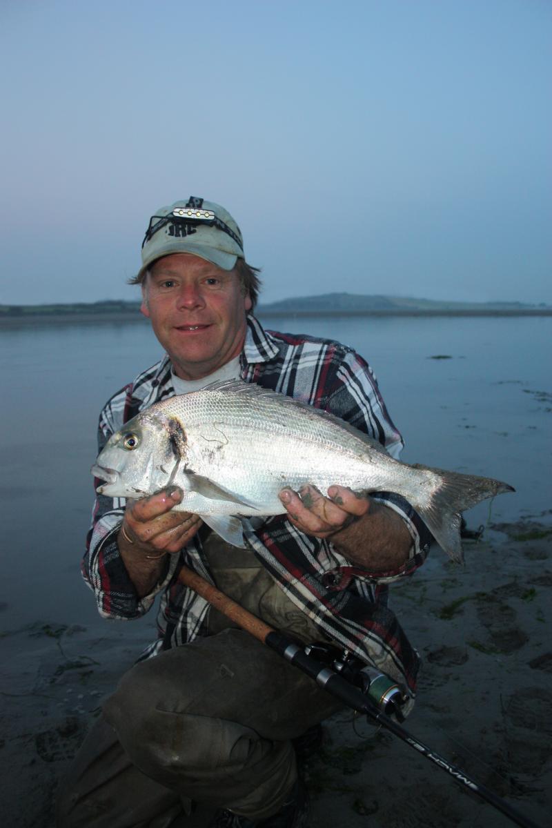 Fishing In Ireland - Angling Ireland - FishBream, Gilthead