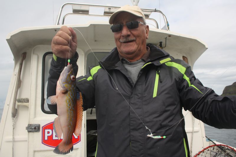 Irish Specimen fish, Flounder, Terrys Travels, targeting specimens