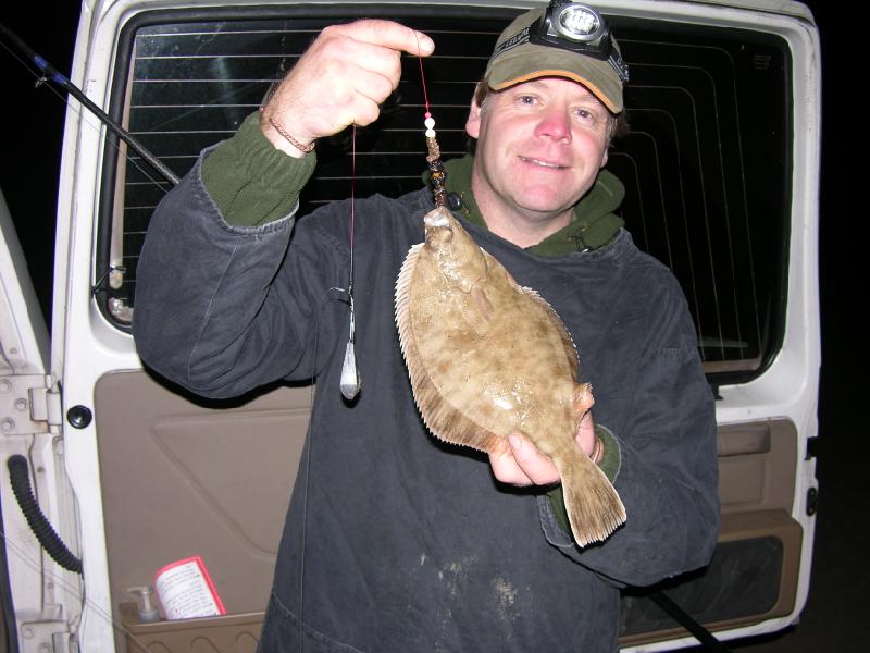 Irish species, fish species in Ireland, terry's travels, flounder