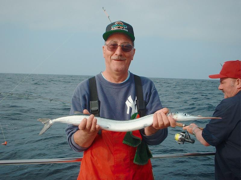 Fishing In Ireland - Angling Ireland Salt Water Fish ID - Garfish