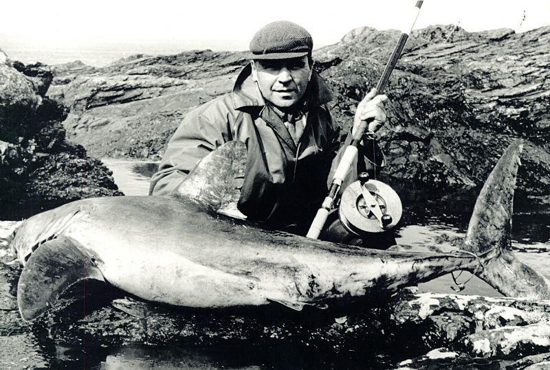 Porbeagle from the shore, Jack Shine, Ireland, irish shark fishing