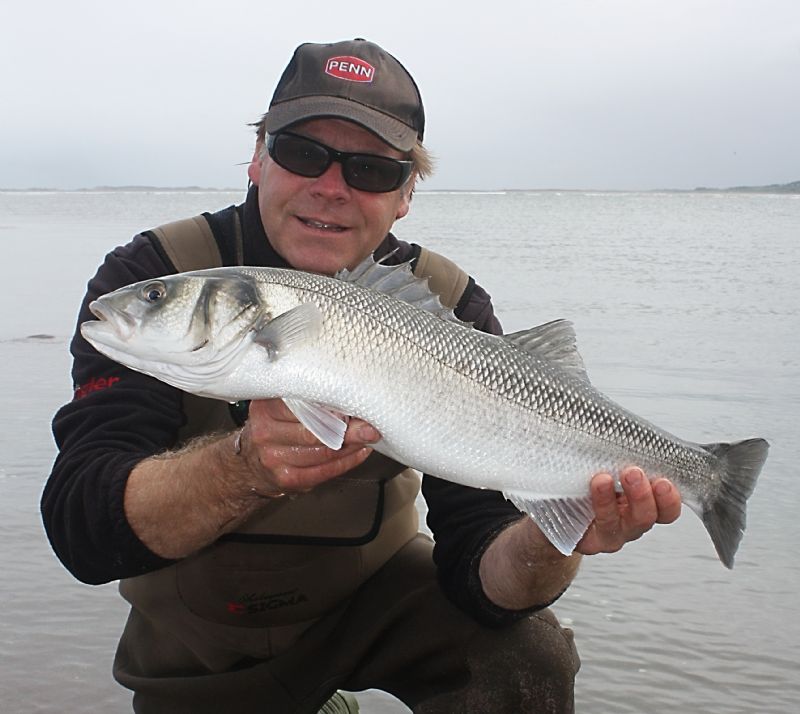 Terry's travels, angling in Kerry, Brandon Bay, bass angling kerry