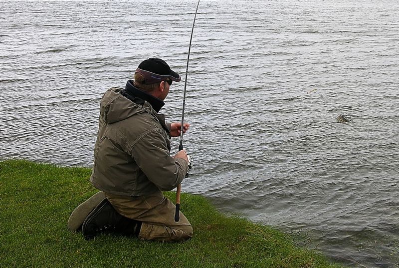 float fishing for mullet, targeting mullet, specimen irish mullet