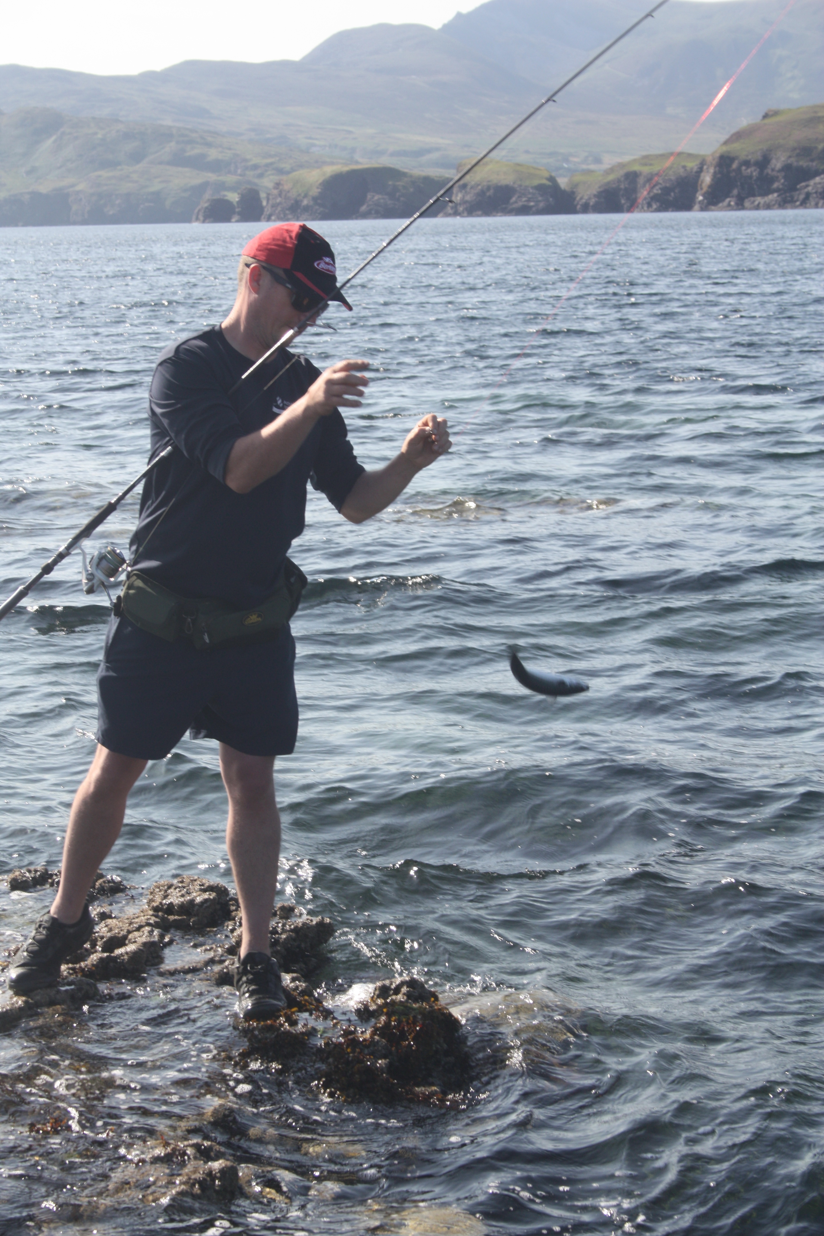 Corkwing Wrasse, Ballan Wrasse, Irish Wrasse fishing, Terrys travels