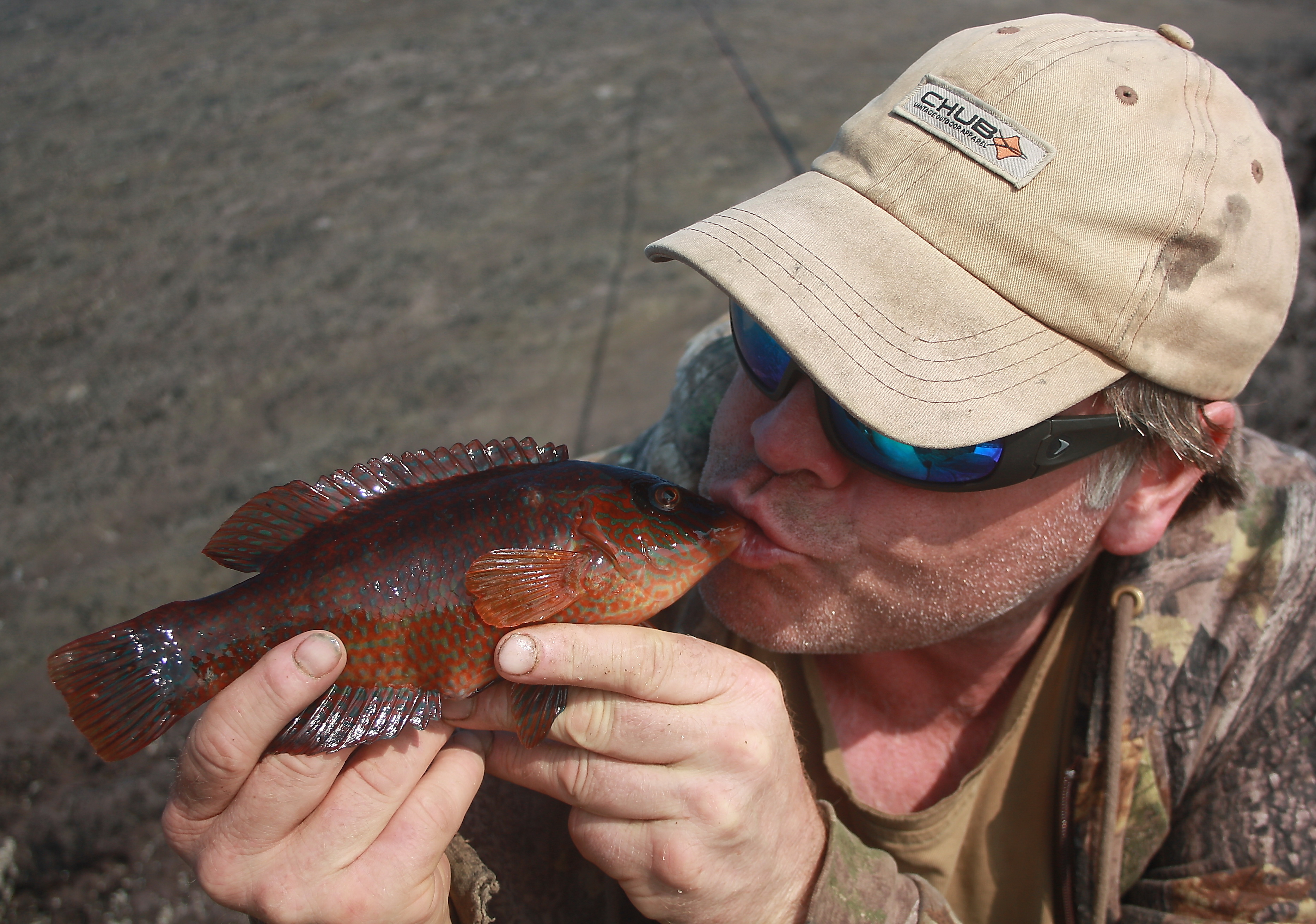 Irish Specimen fish, Flounder, Terrys Travels, targeting specimens