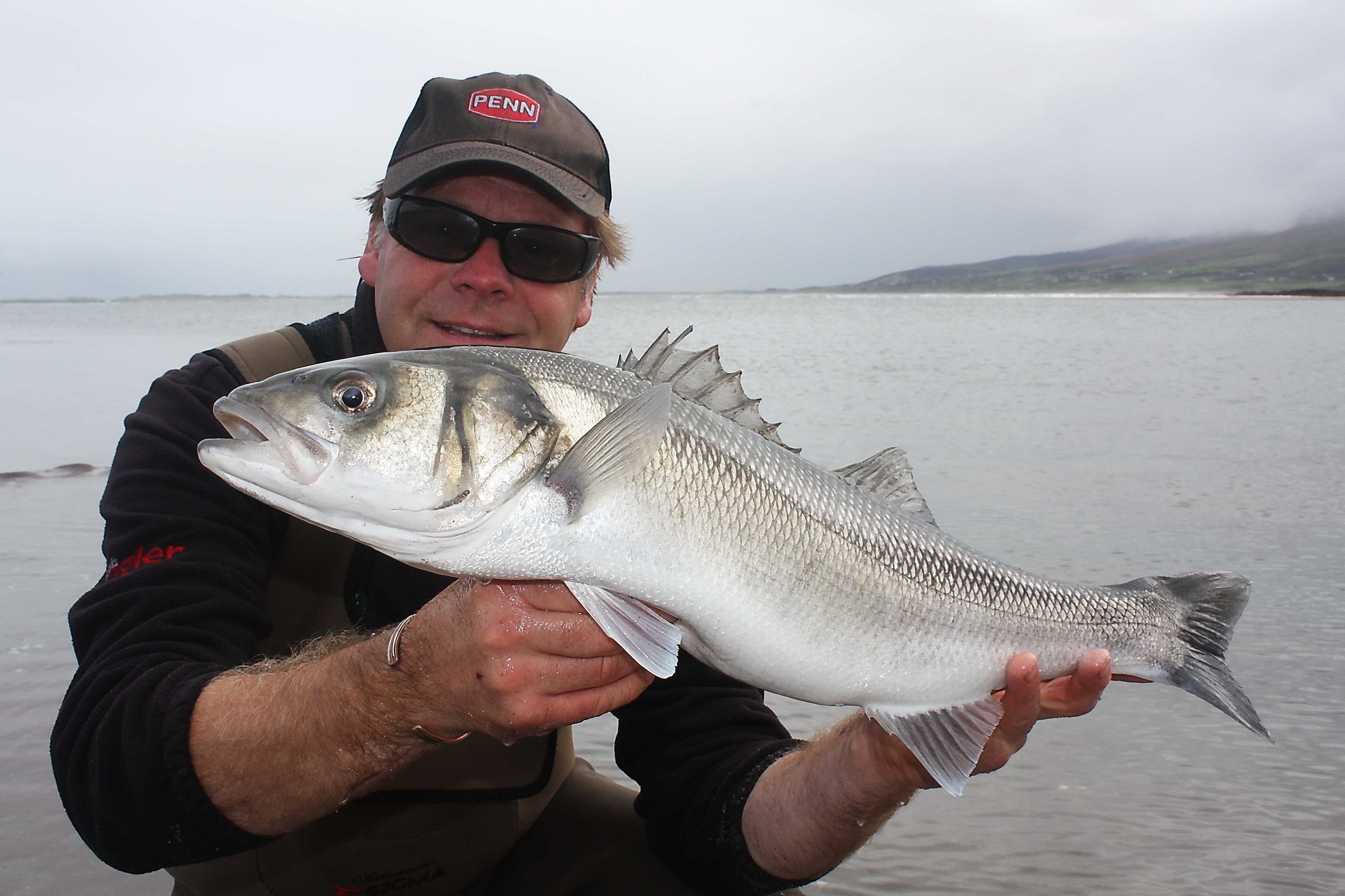Fishing In Ireland - Angling Ireland - Salt Water Fish ID Bass
