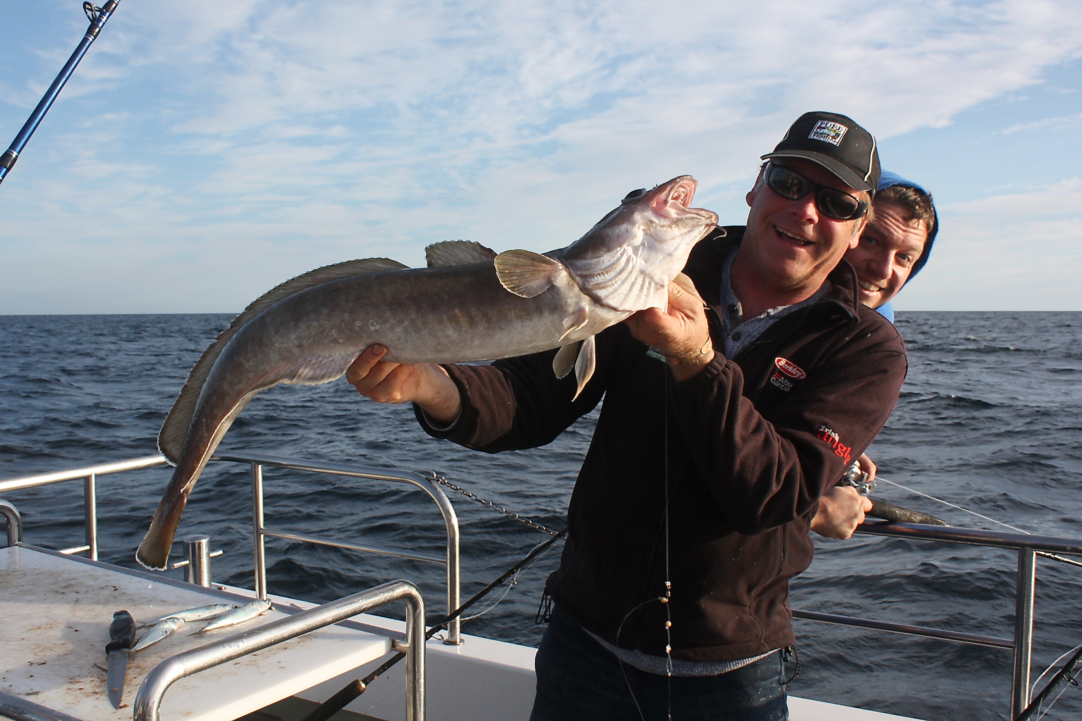 Fishing In Ireland - Angling Ireland Salt Water Fish ID- Ling