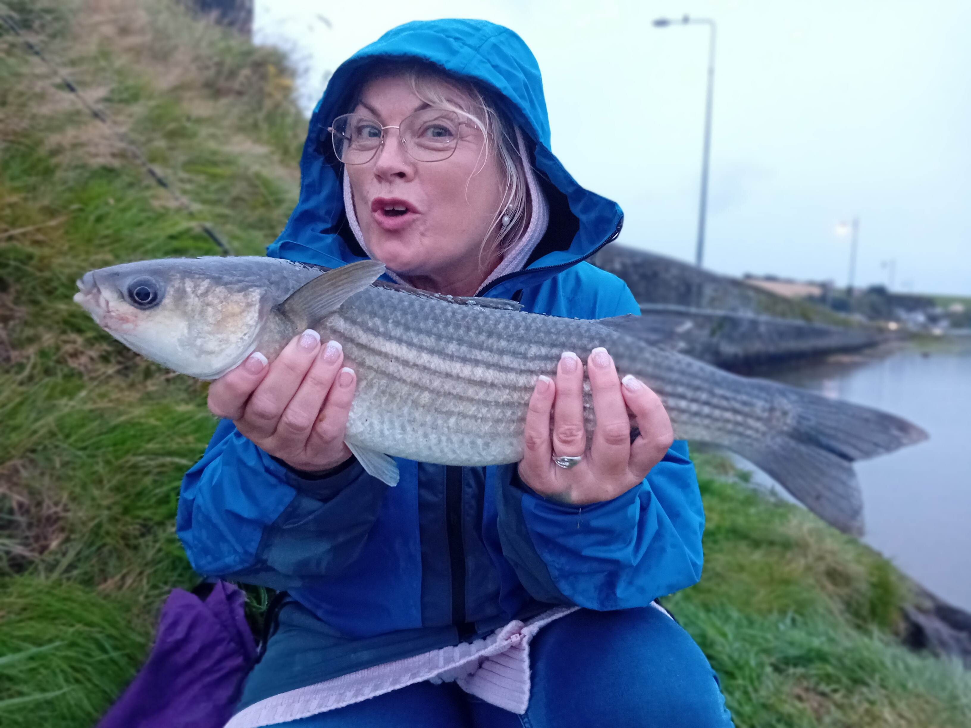 Fishing In Ireland - Angling Ireland - Mullet ID, Thick Lipped