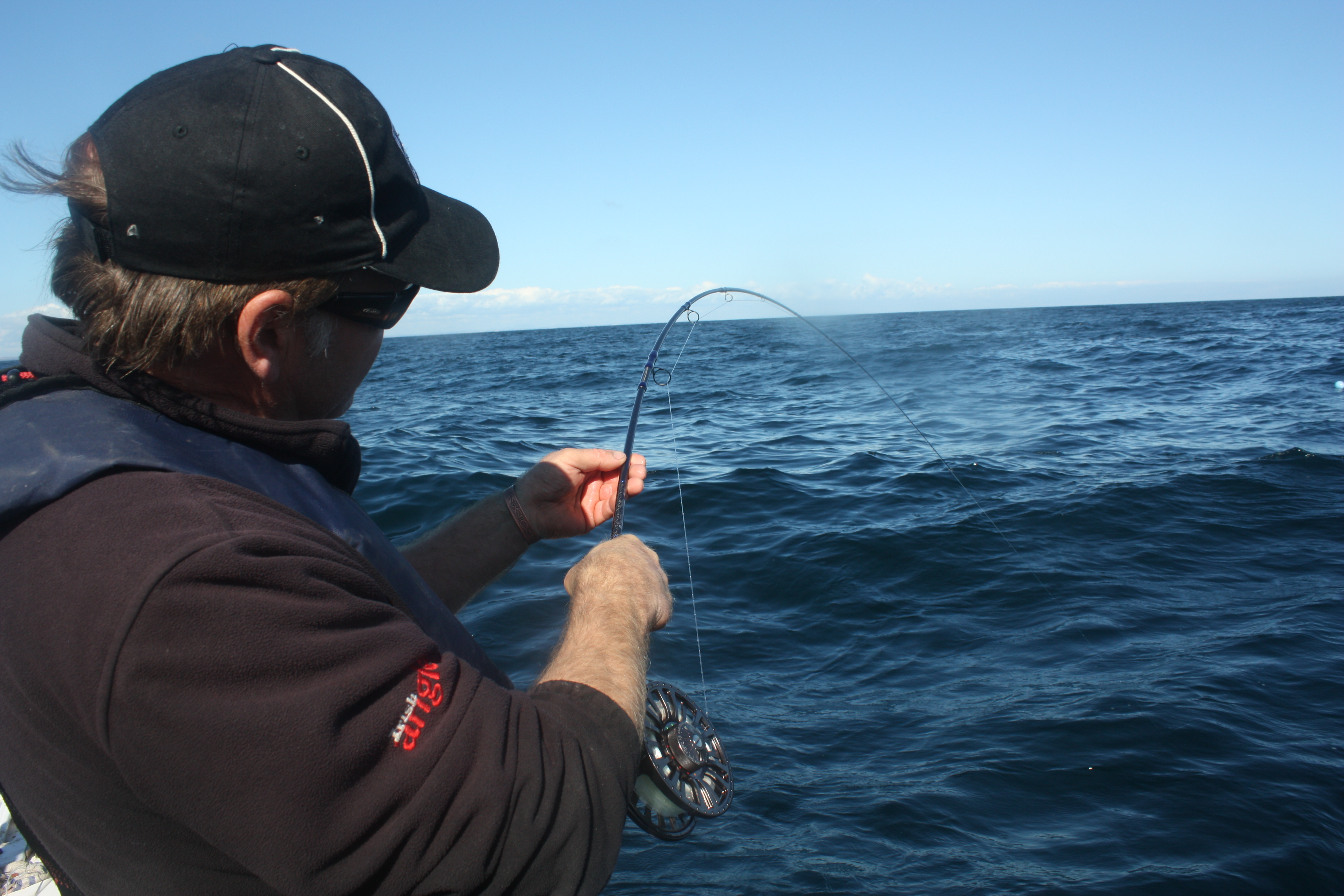 Fishing In Ireland - Angling Ireland Salt Water Fish - Shark, Blue