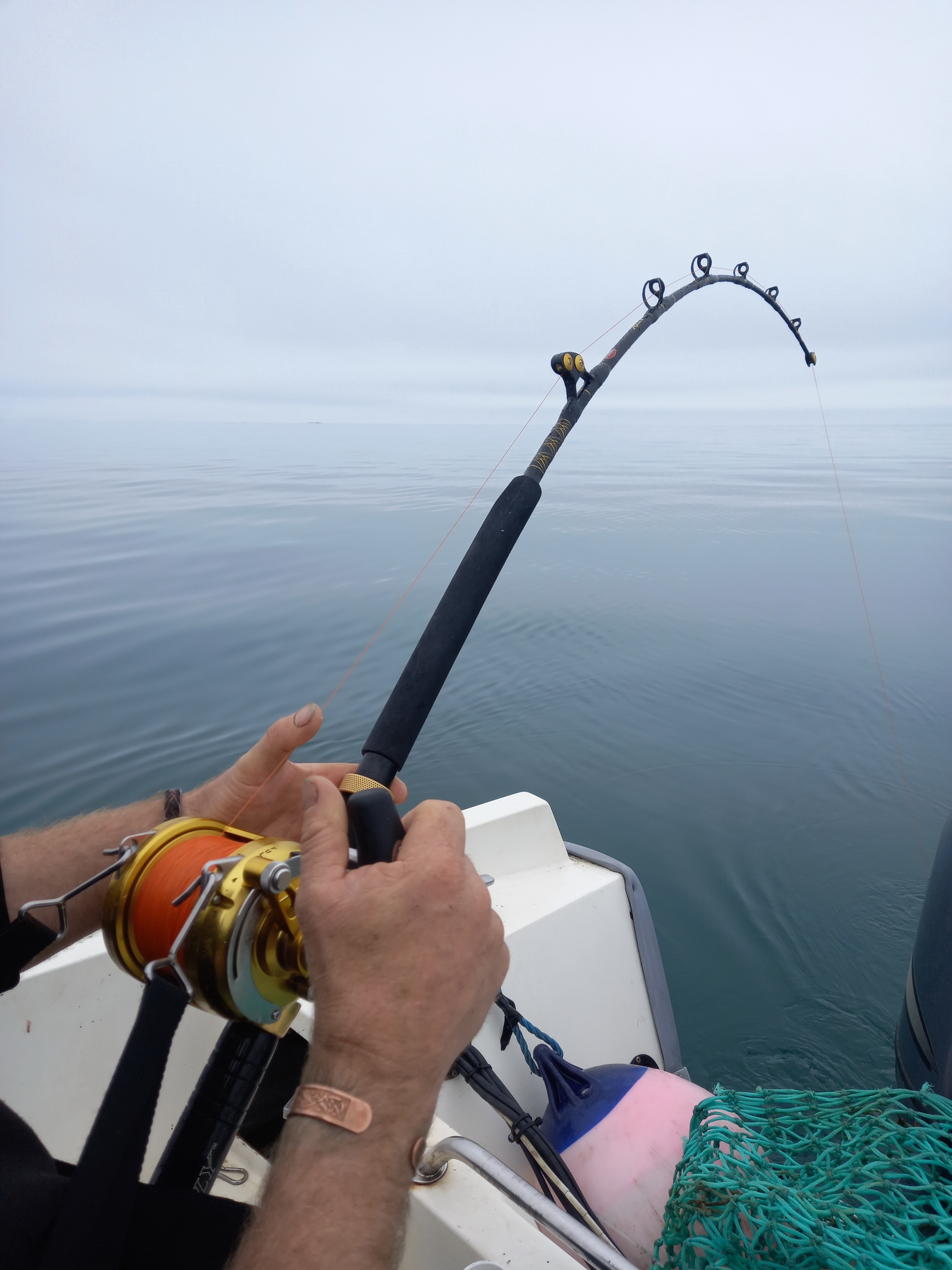 Fishing In Ireland - Angling Ireland Salt Water Fish - Common Skate