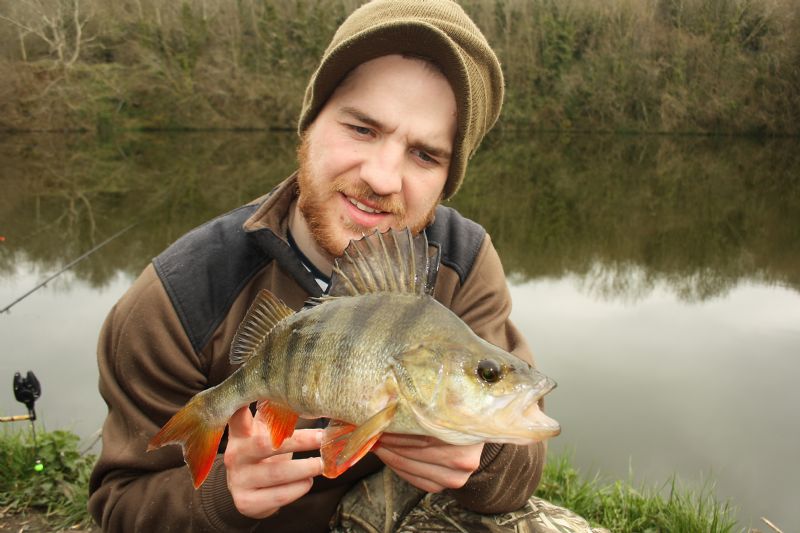 Mitchell Mag Premier, mitchell reels, perch angling, terrys travels