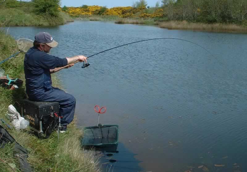 Targeting Specimen Tench