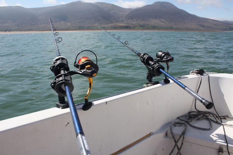 Uptiding for Undulates, Tralee Bay, Ray angling in Ireland