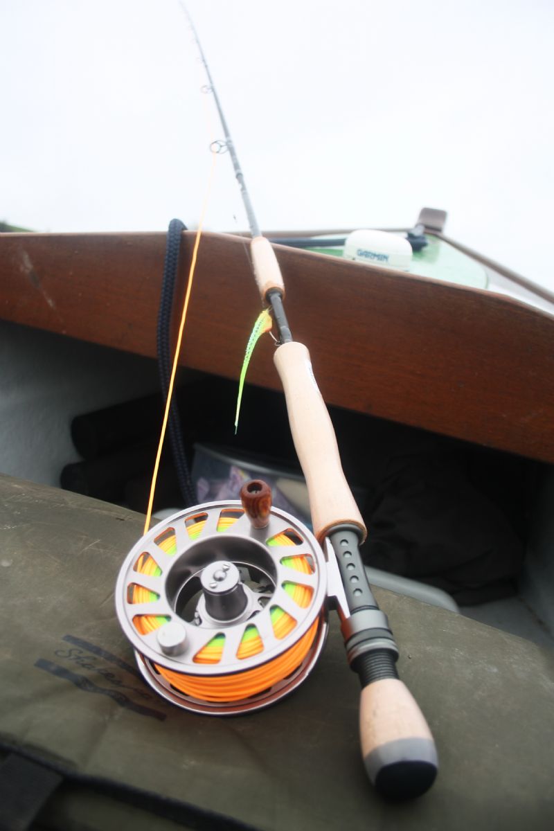 Shaespeare Agility fly rod. pike fly. fly fishing. terrys travels